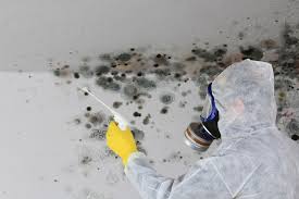  Oregon, OH Mold Removal & Remediation Pros